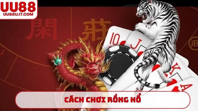 cách chơi rồng hổ