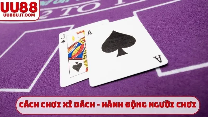Cách chơi xì dách - Hành động người chơi trên tổng điểm